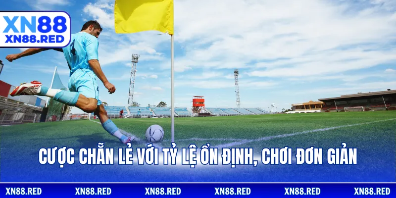 Cược chẵn lẻ với tỷ lệ ổn định, chơi đơn giản